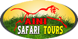 Welcome to Saini Safari Tours Ranthambore logo