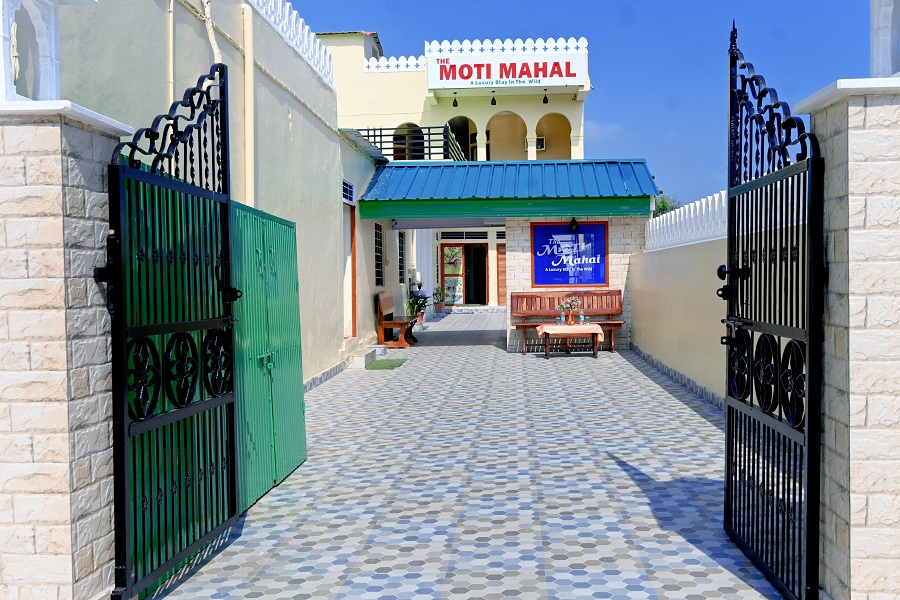 Welcome to Saini Safari Tours