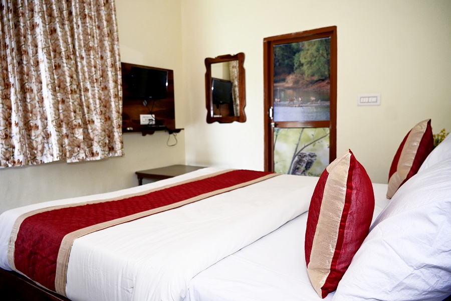 Welcome to Saini Safari Tours