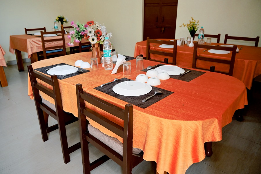 Welcome to Saini Safari Tours
