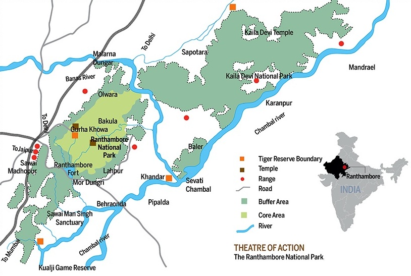 Welcome to Saini Safari Tours